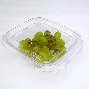 Clear PET plastic tamper resistant fruit blister packaging