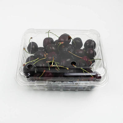 500g PET Fresh Cherry Clamshell Container